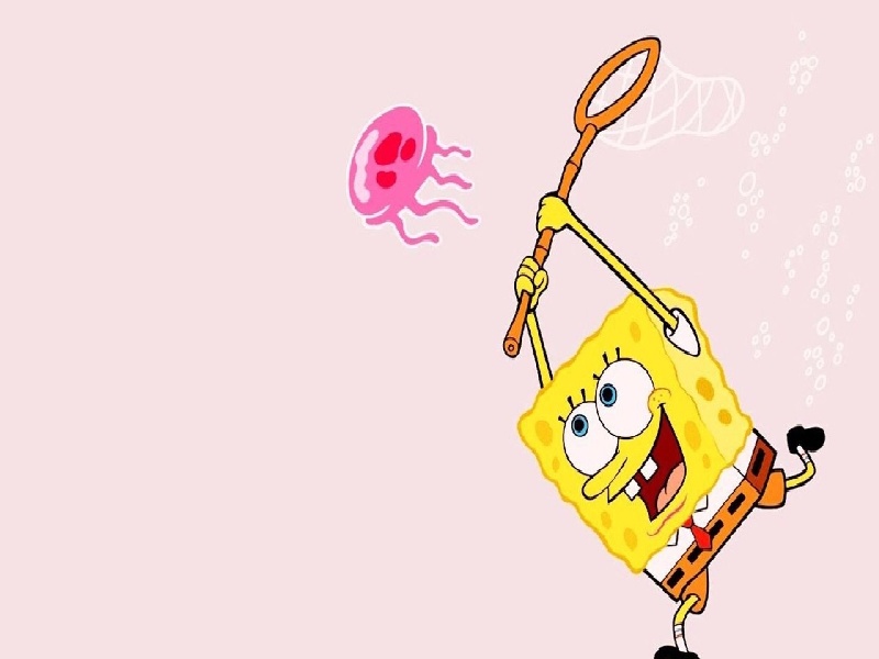 国内试管能量多少液体（核酸检验试管规格）